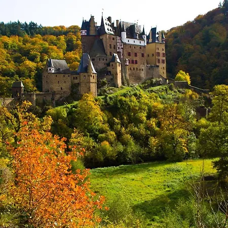 Tiny House Natur-traum Zur Burg Eltz Chalet *