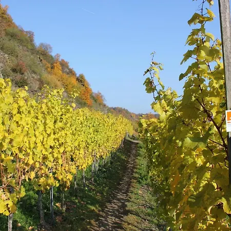 Tiny House Natur-traum Zur Burg Eltz