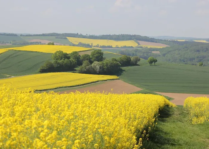 Chalé Tiny House Natur-traum Zur Burg Eltz Wierschem