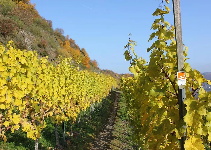 Tiny House Natur-traum Zur Burg Eltz