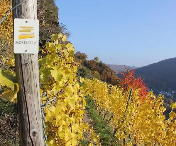 Tiny House Natur-traum Zur Burg Eltz Chalé *